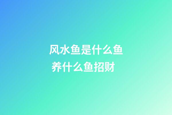 风水鱼是什么鱼 养什么鱼招财